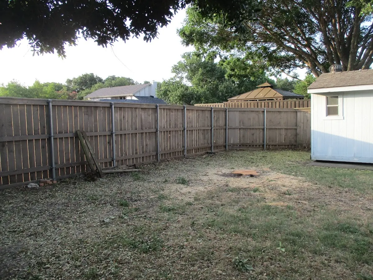 Cleared yard after professional tree removal in Prairieburg